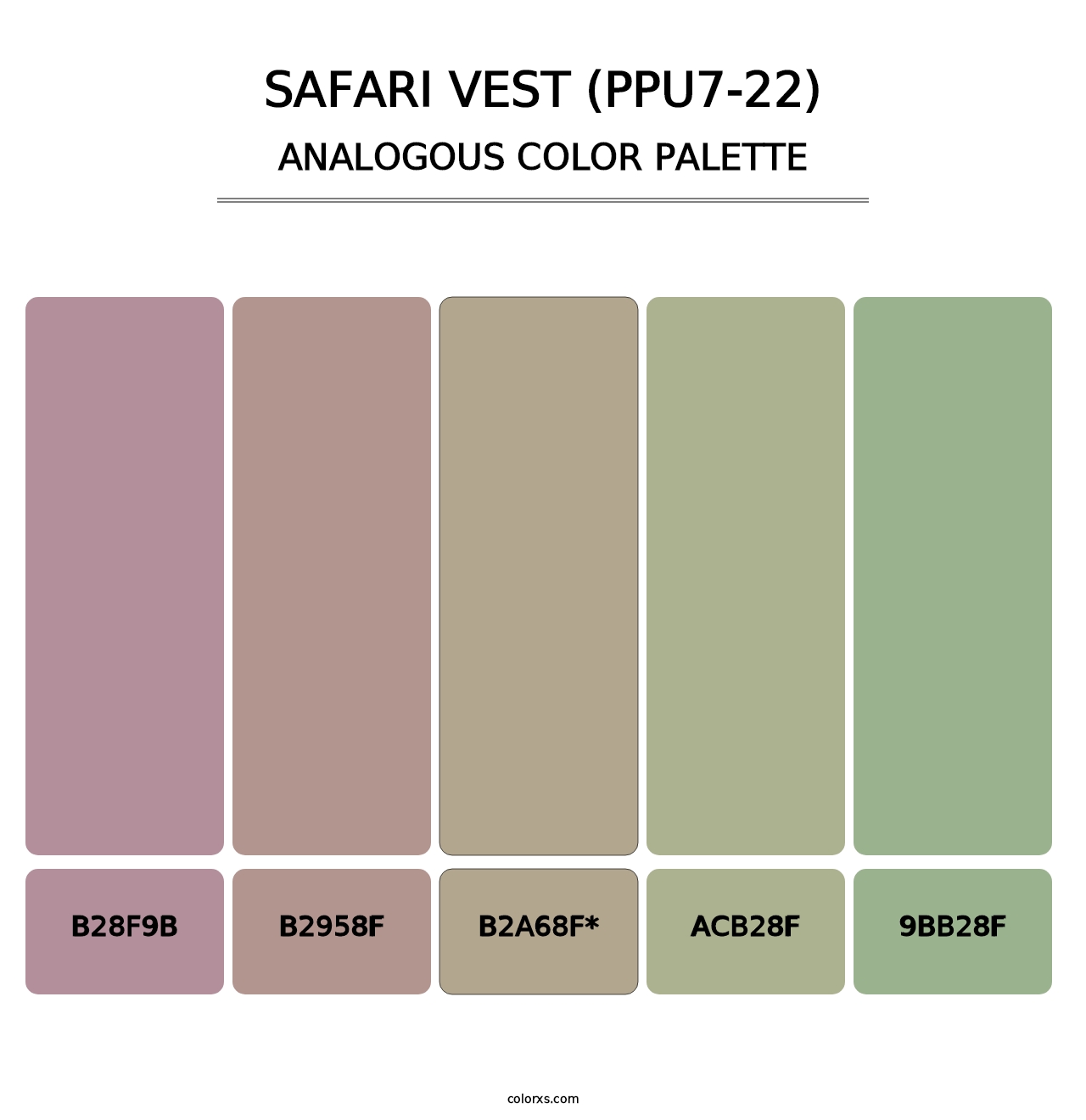 Safari Vest (PPU7-22) - Analogous Color Palette