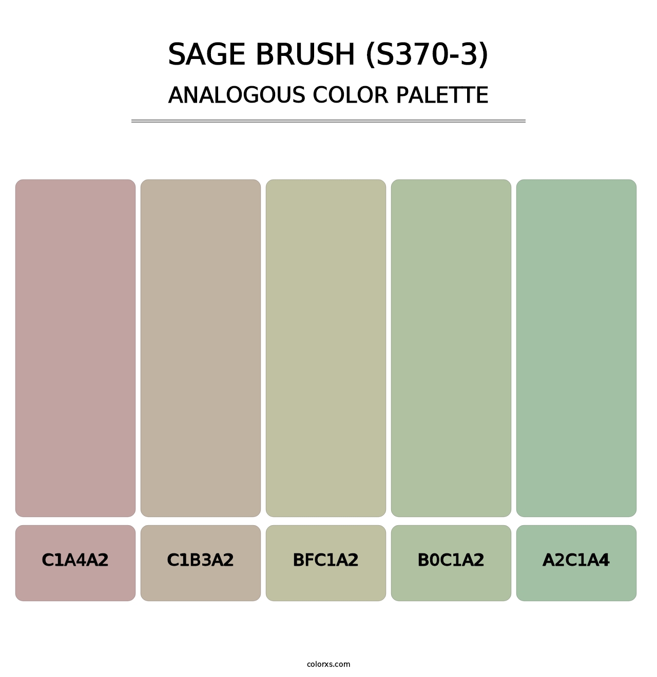 Sage Brush (S370-3) - Analogous Color Palette
