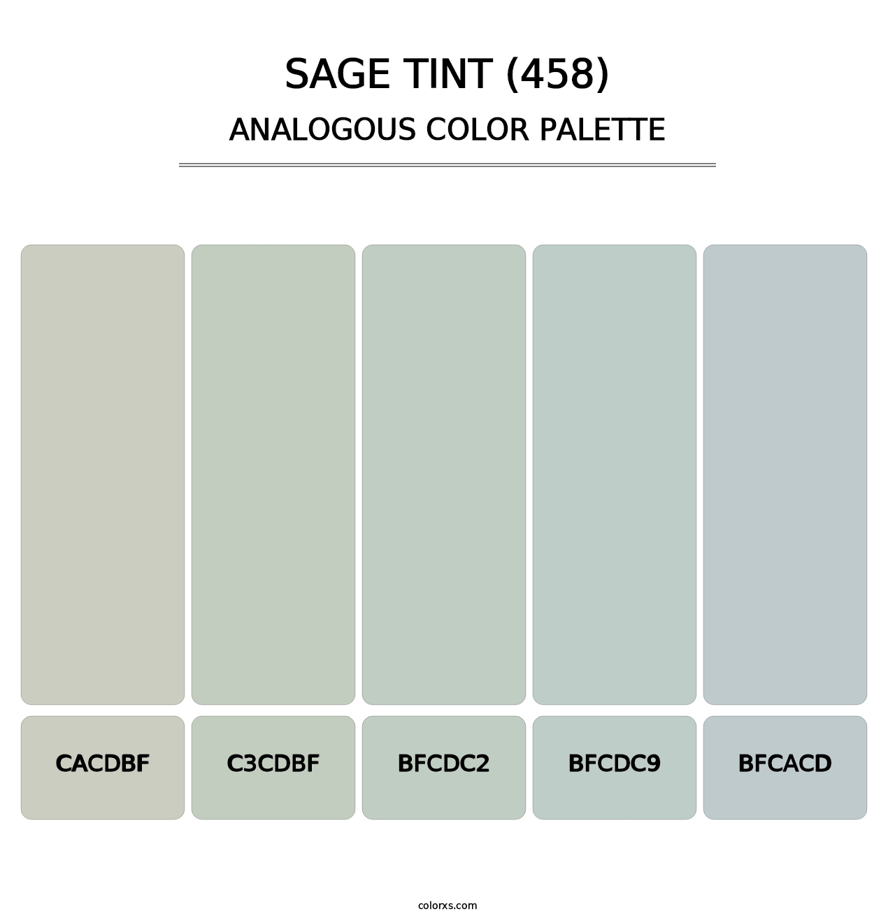 Sage Tint (458) - Analogous Color Palette