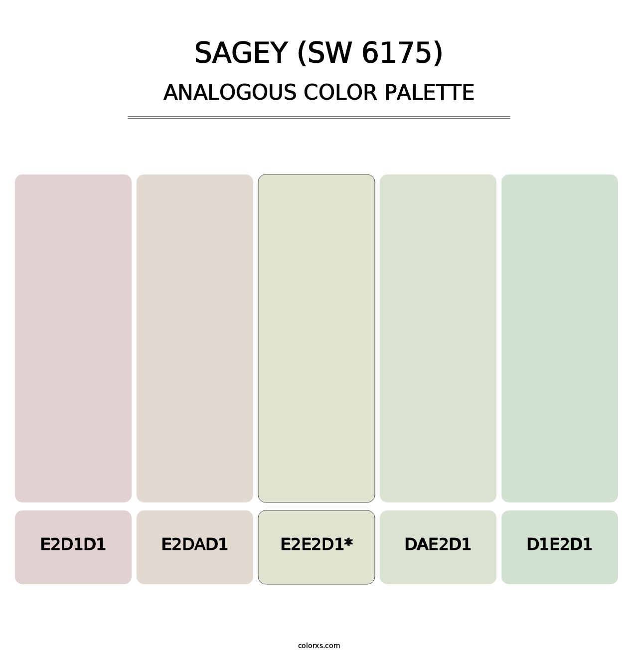 Sagey (SW 6175) - Analogous Color Palette
