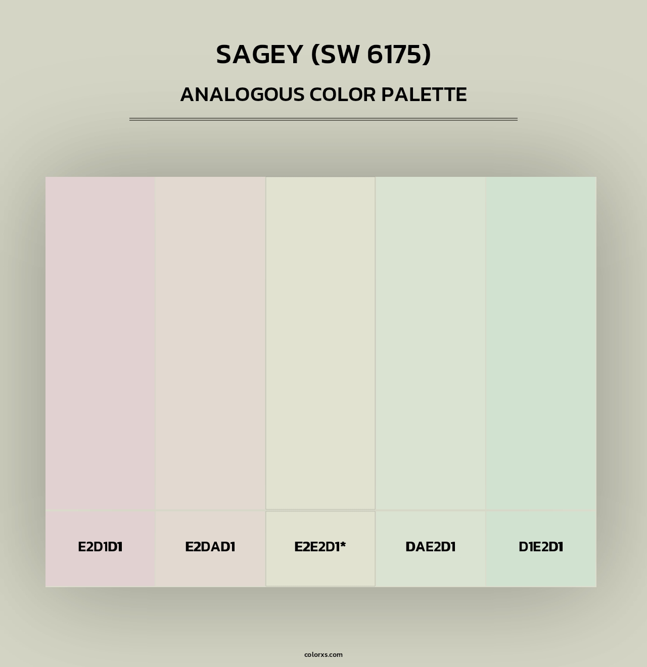 Sagey (SW 6175) - Analogous Color Palette