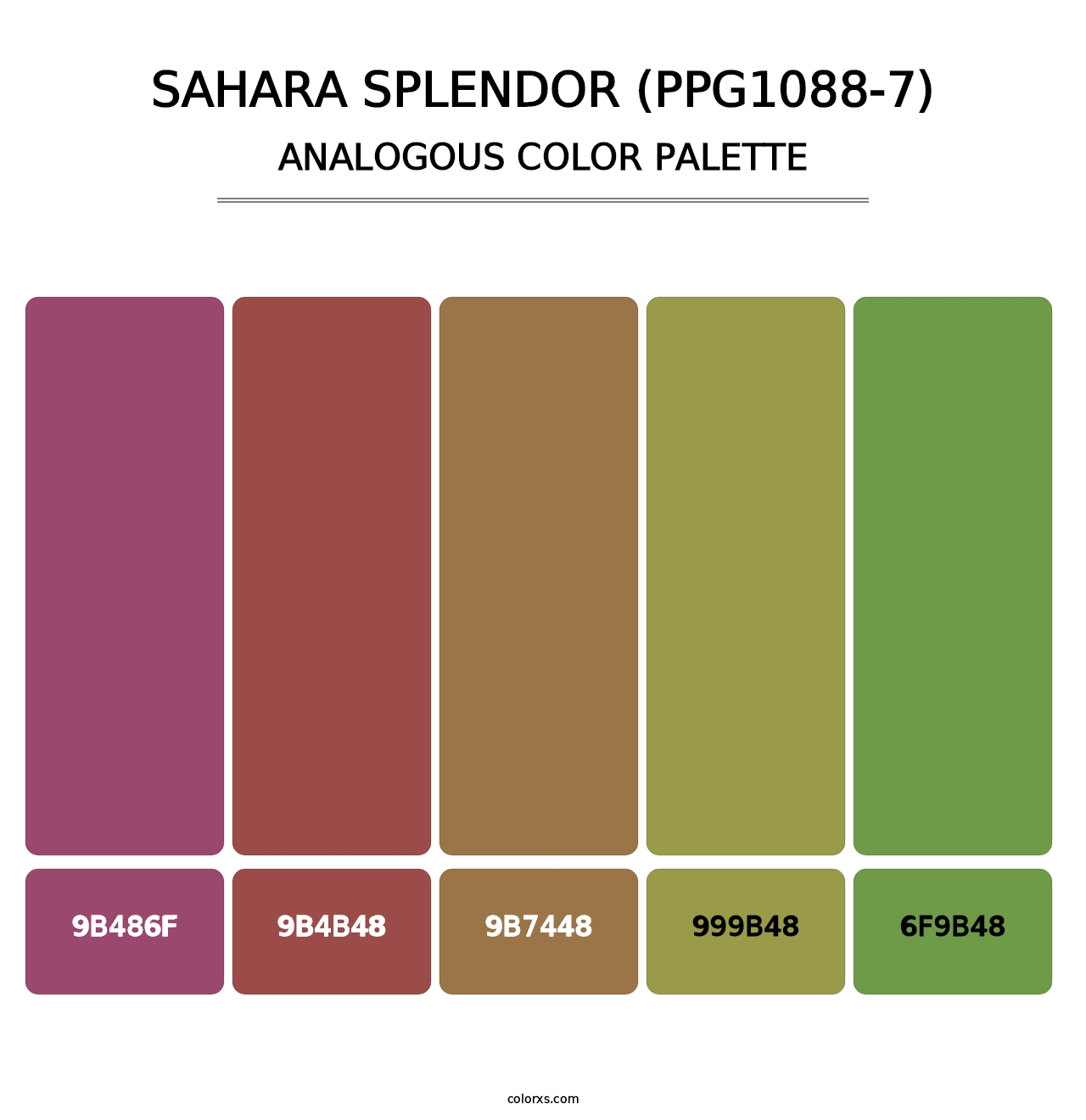 Sahara Splendor (PPG1088-7) - Analogous Color Palette