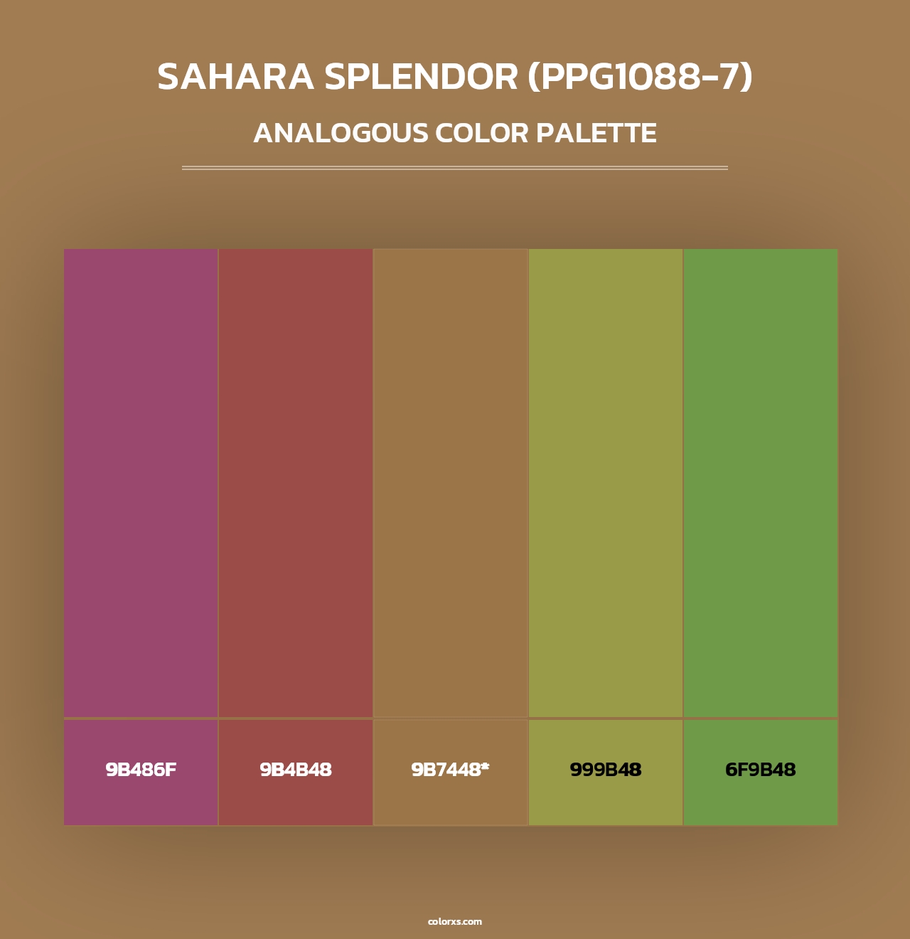 Sahara Splendor (PPG1088-7) - Analogous Color Palette
