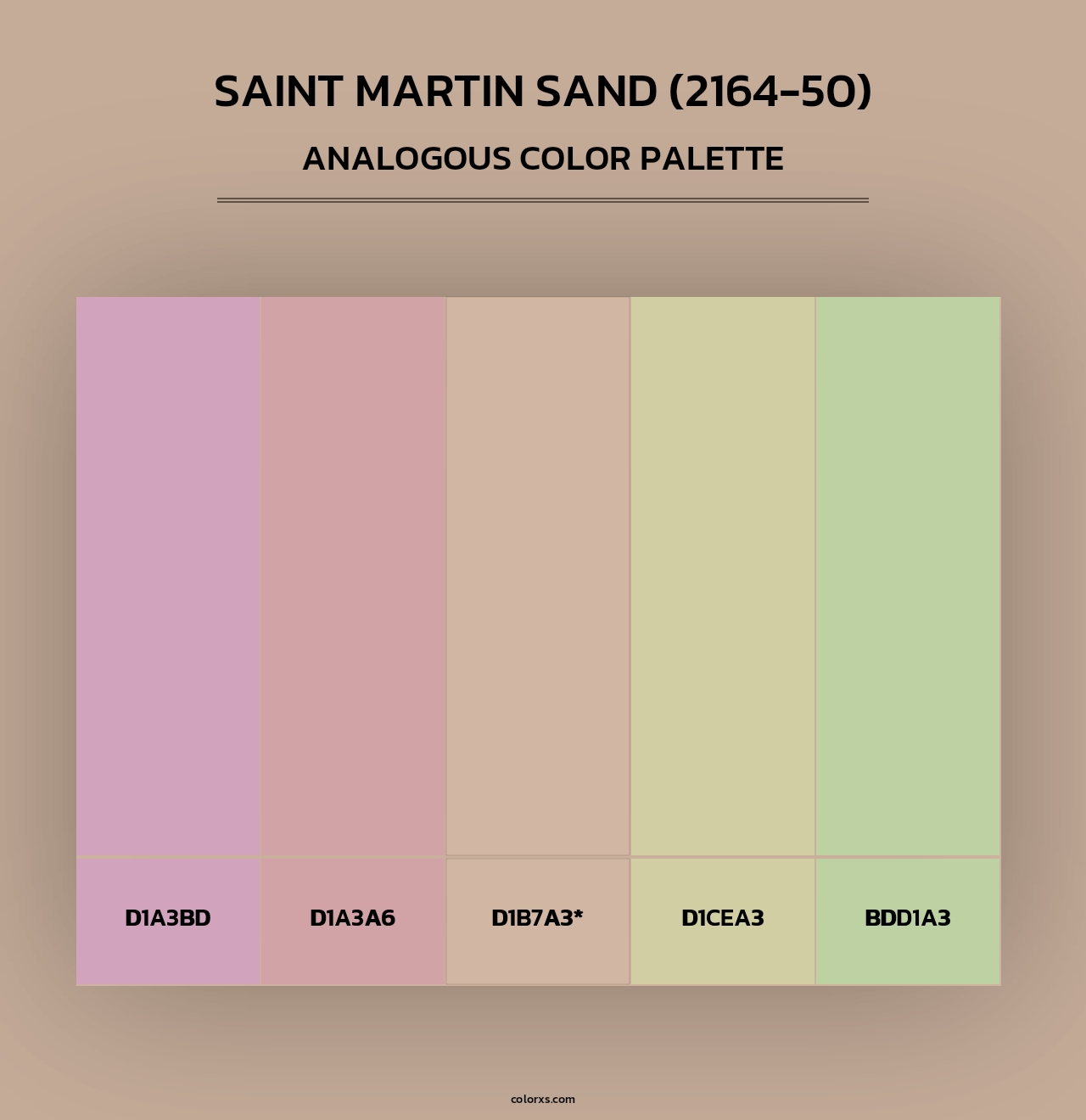 Saint Martin Sand (2164-50) - Analogous Color Palette