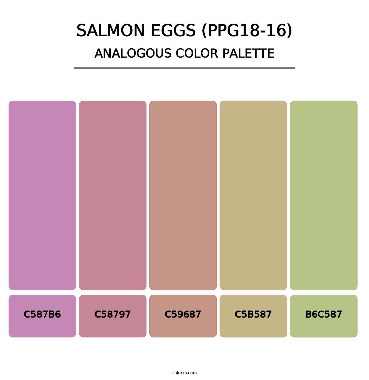 Salmon Eggs (PPG18-16) - Analogous Color Palette