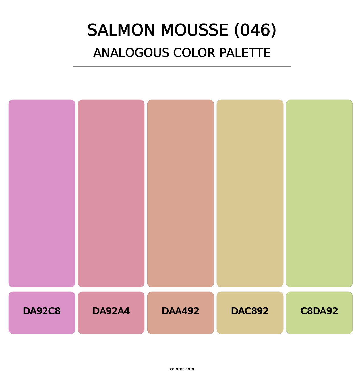 Salmon Mousse (046) - Analogous Color Palette
