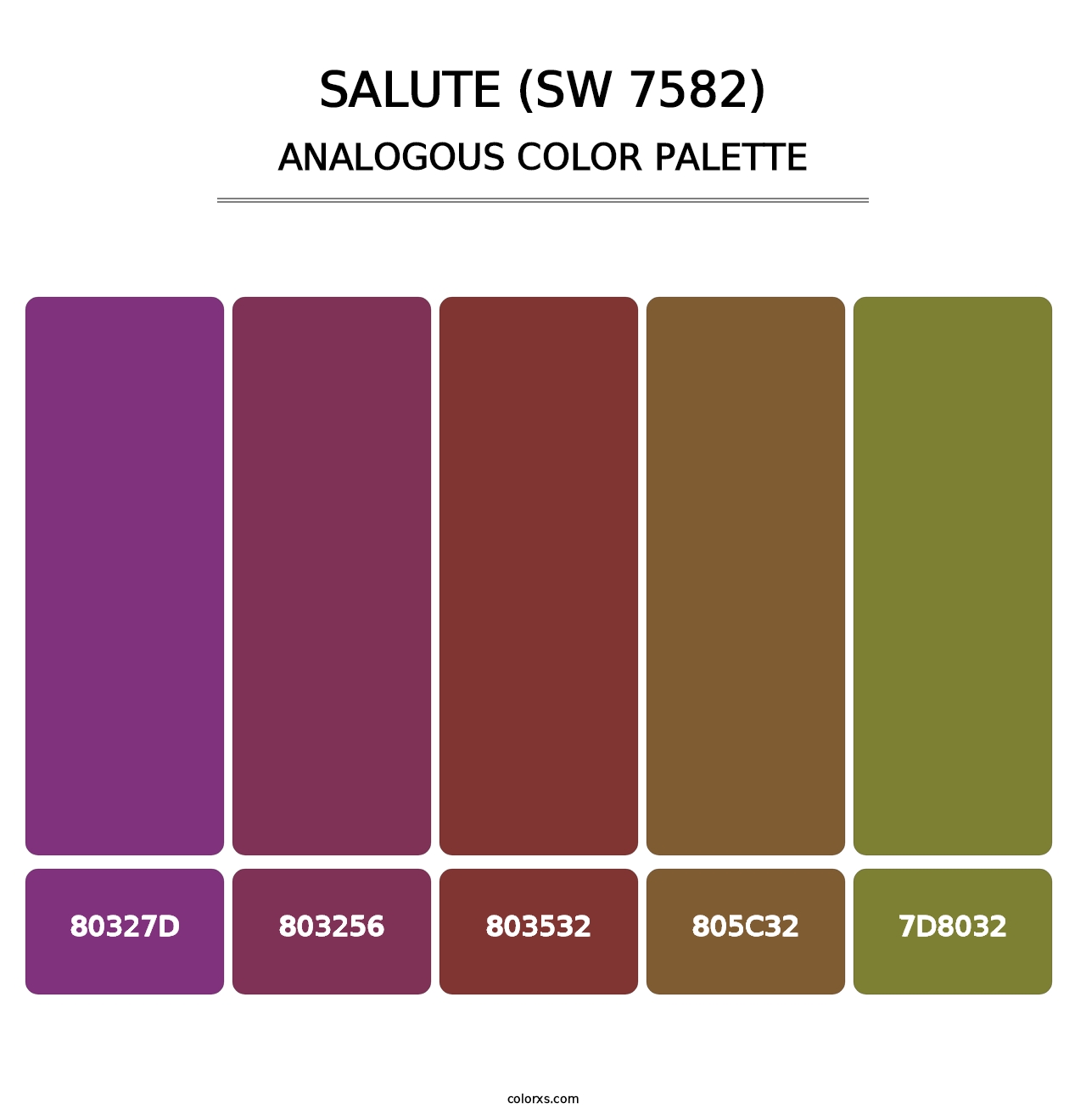 Salute (SW 7582) - Analogous Color Palette