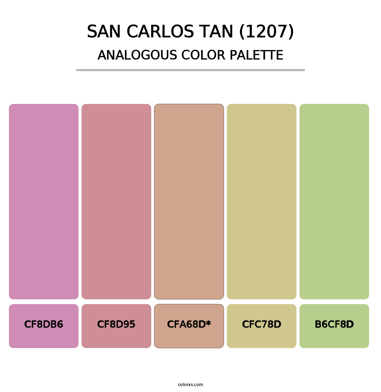 San Carlos Tan (1207) - Analogous Color Palette