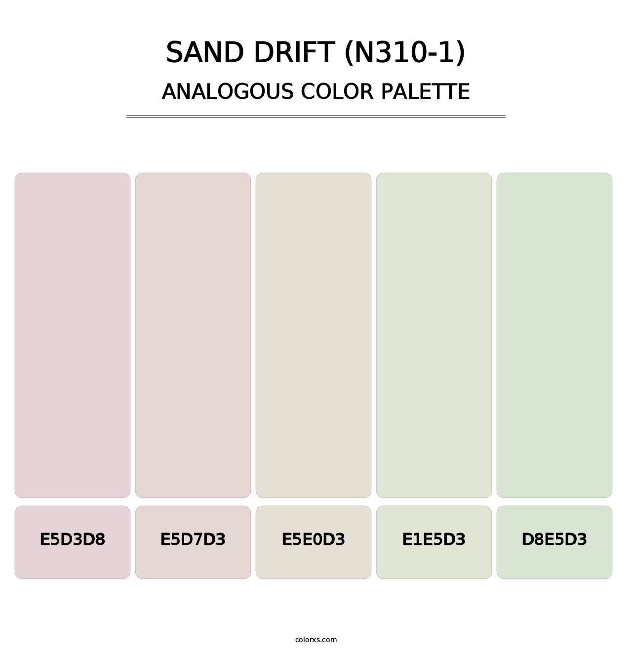 Sand Drift (N310-1) - Analogous Color Palette