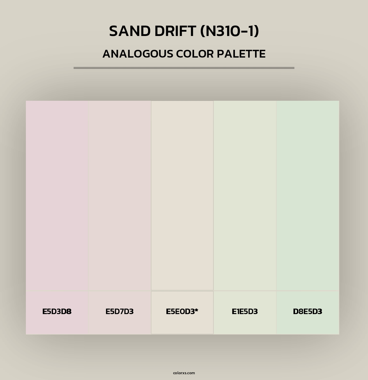 Sand Drift (N310-1) - Analogous Color Palette