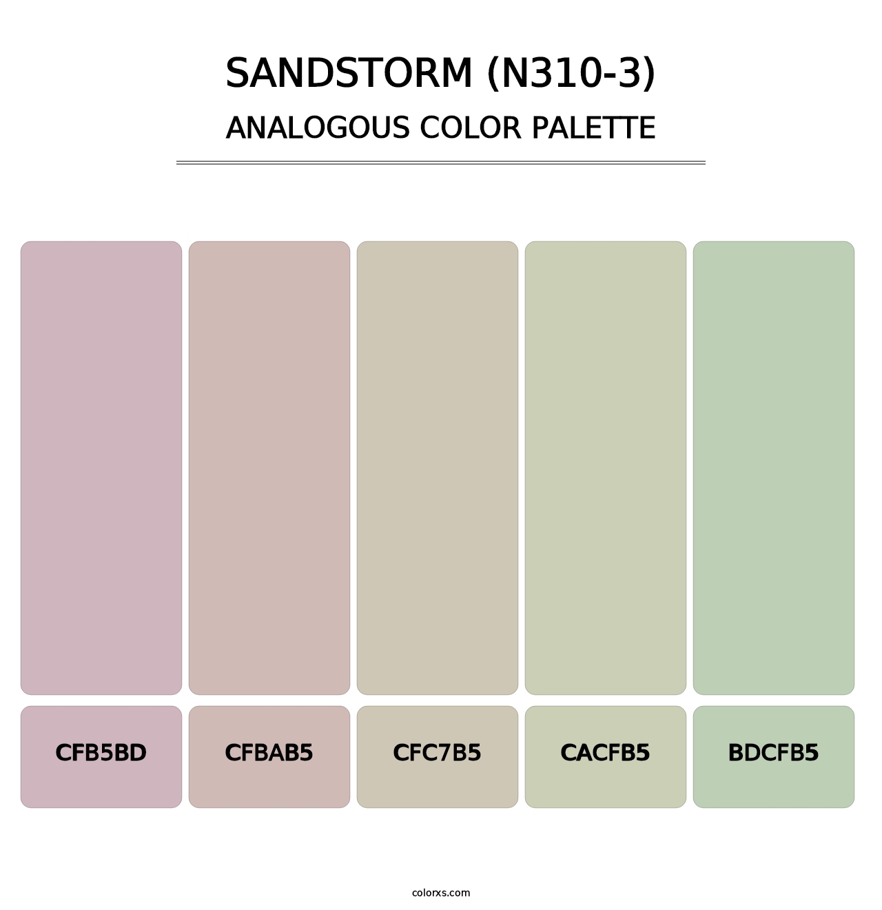 Sandstorm (N310-3) - Analogous Color Palette