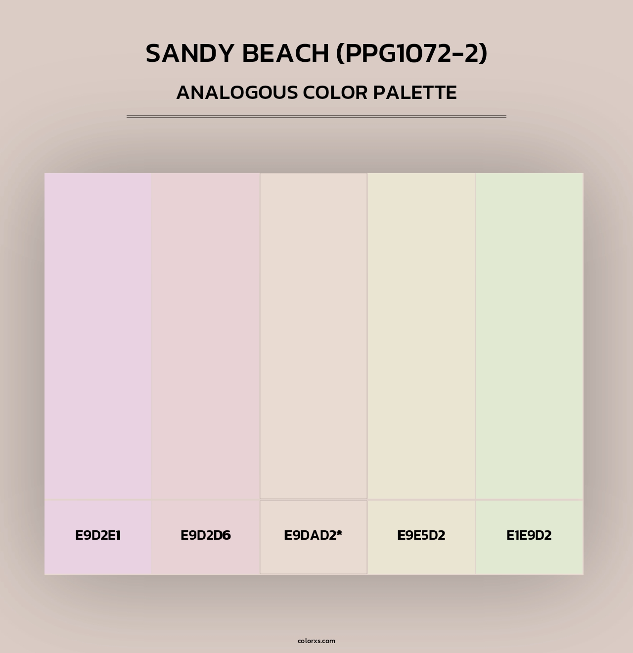 Sandy Beach (PPG1072-2) - Analogous Color Palette