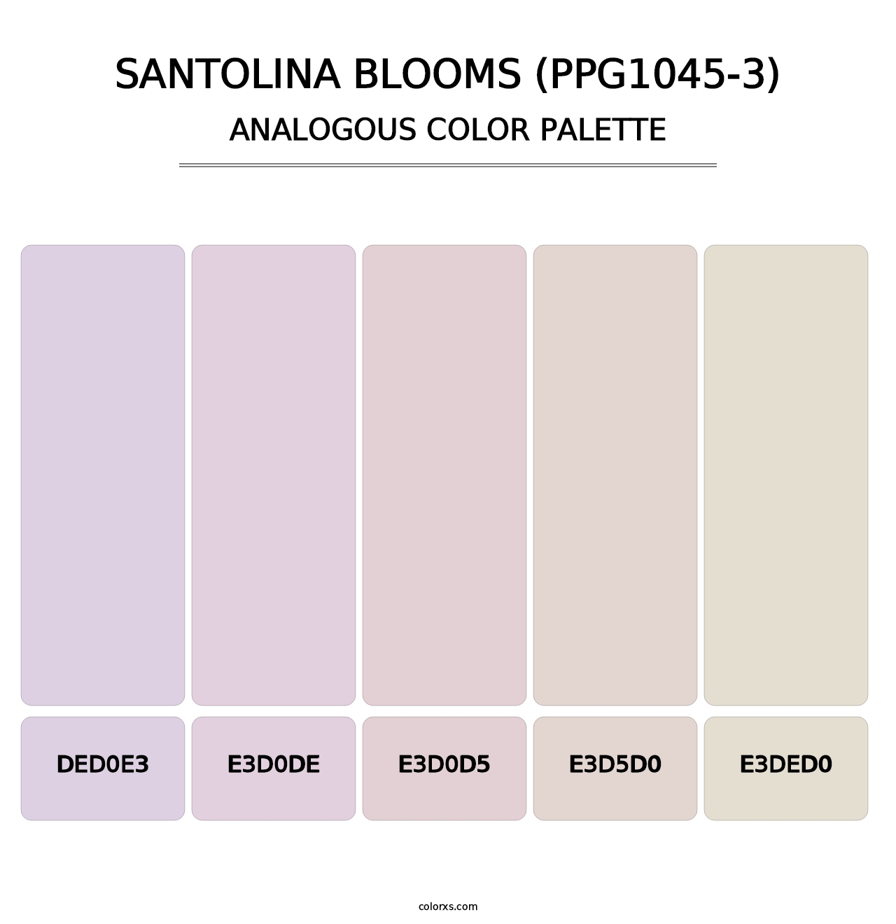 Santolina Blooms (PPG1045-3) - Analogous Color Palette