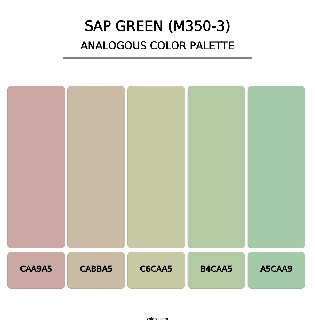 Sap Green (M350-3) - Analogous Color Palette