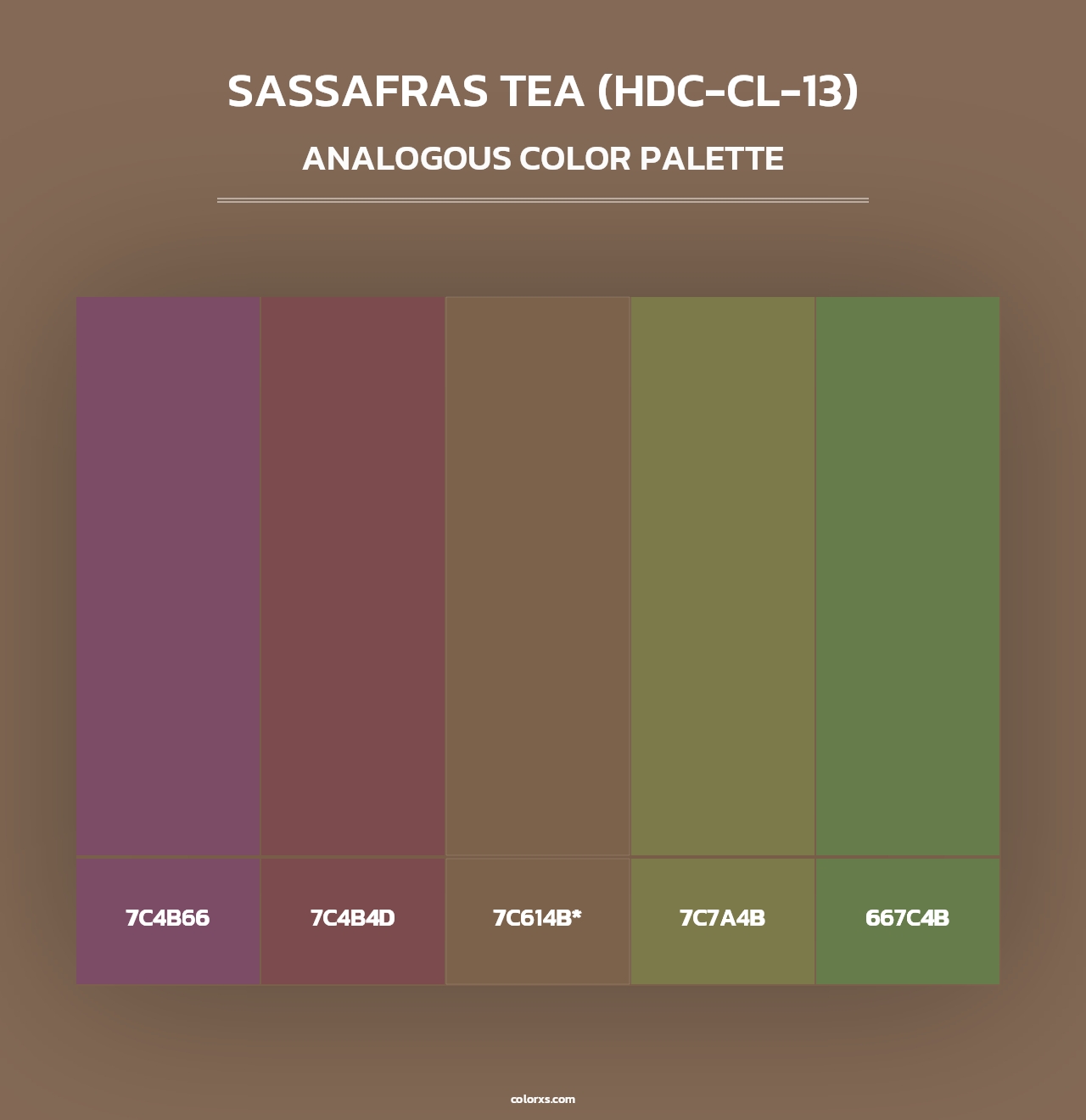 Sassafras Tea (HDC-CL-13) - Analogous Color Palette