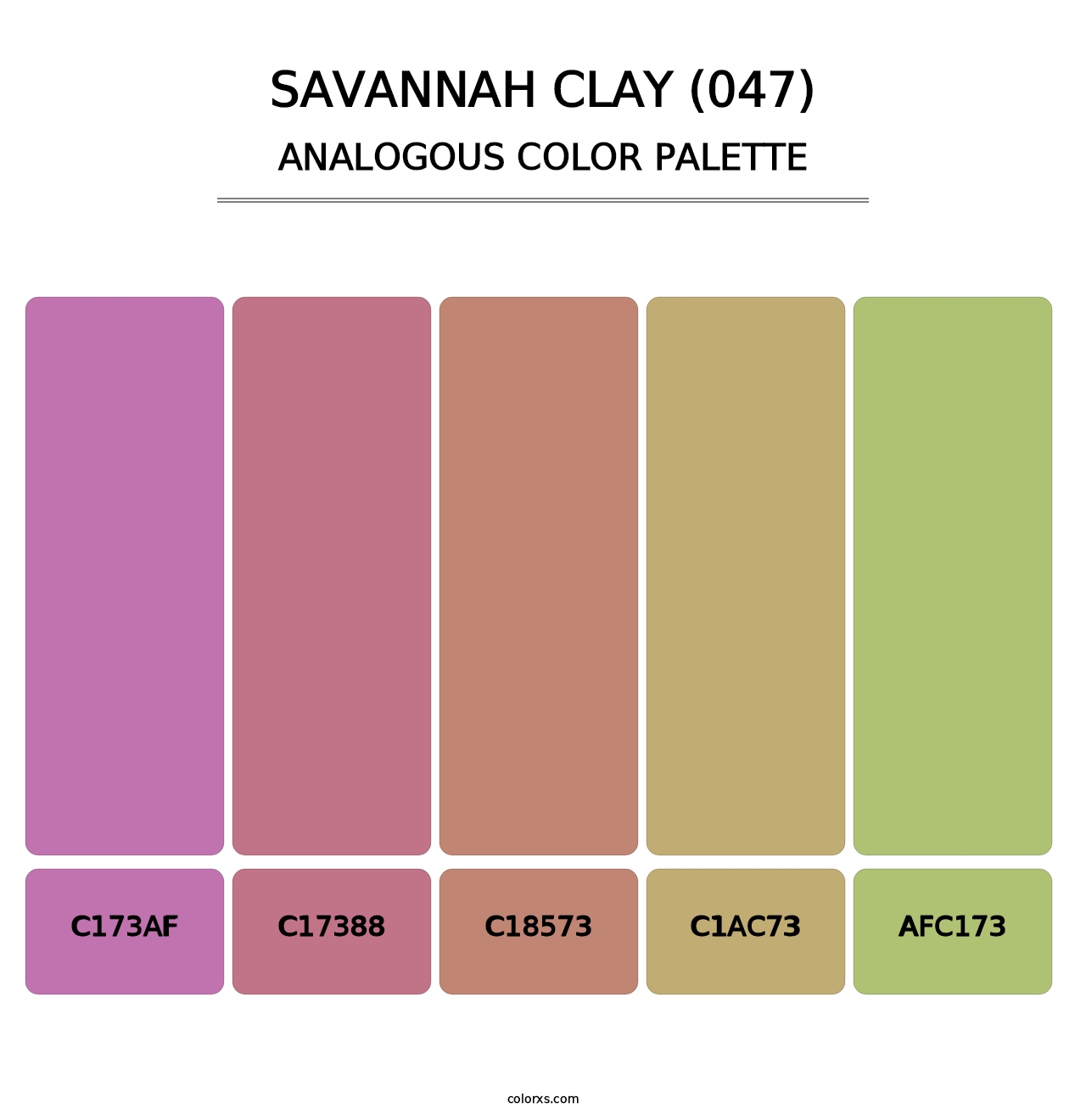 Savannah Clay (047) - Analogous Color Palette