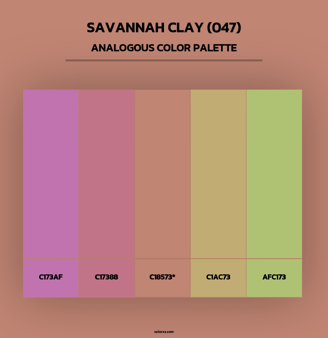 Savannah Clay (047) - Analogous Color Palette