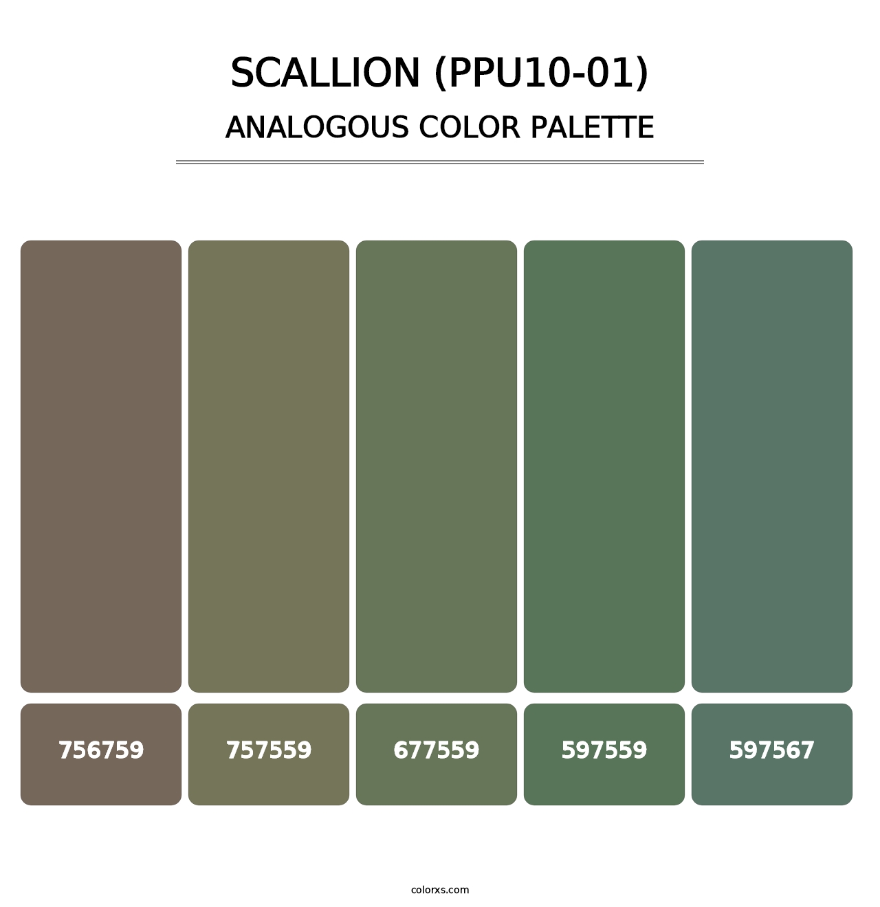 Scallion (PPU10-01) - Analogous Color Palette