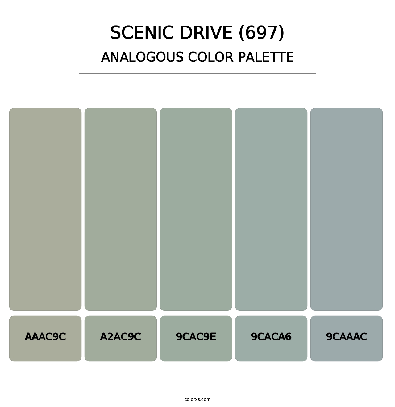 Scenic Drive (697) - Analogous Color Palette
