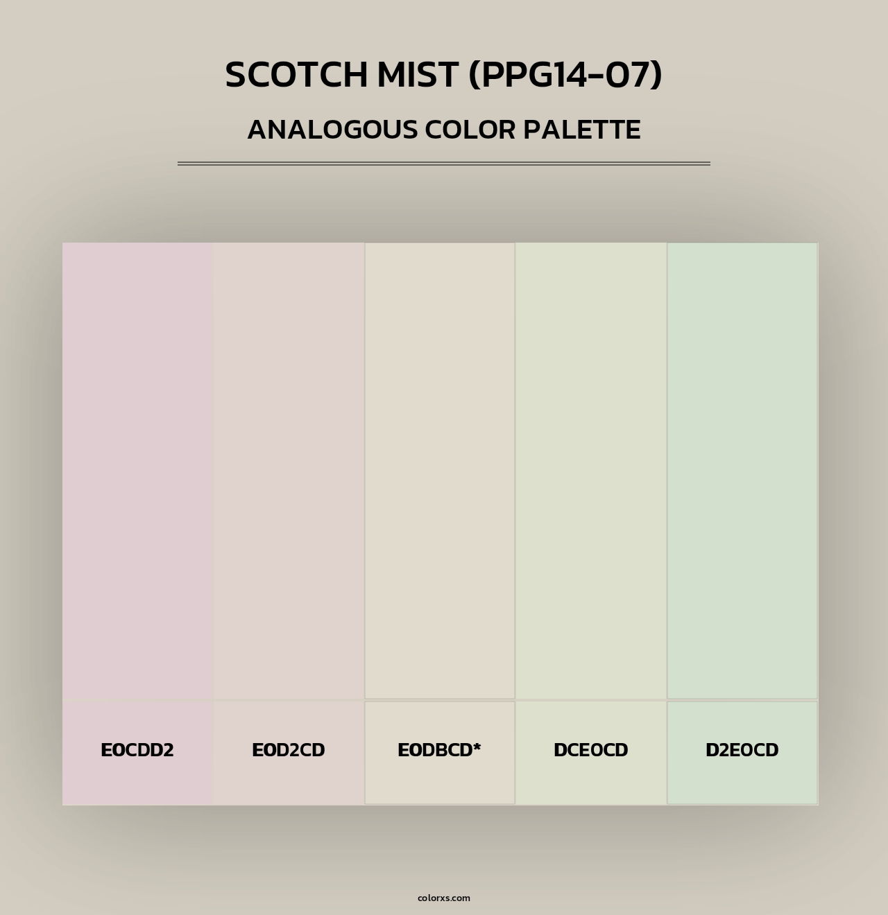 Scotch Mist (PPG14-07) - Analogous Color Palette