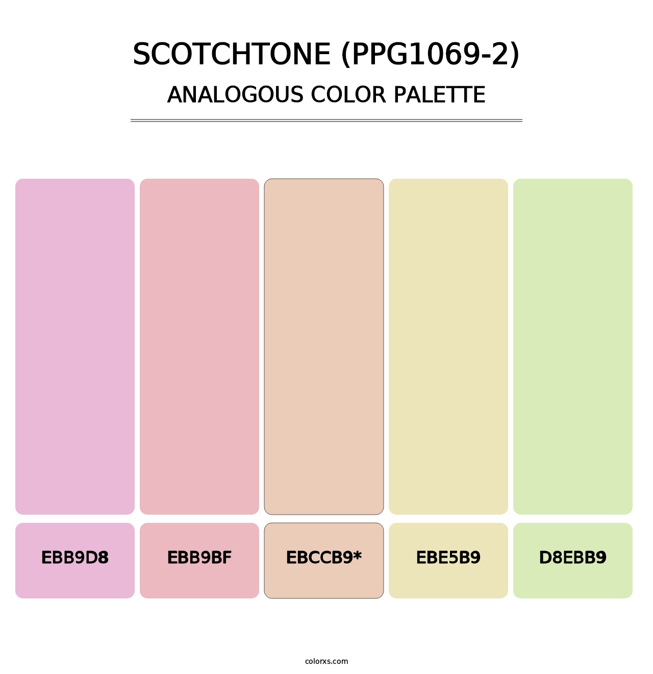 Scotchtone (PPG1069-2) - Analogous Color Palette