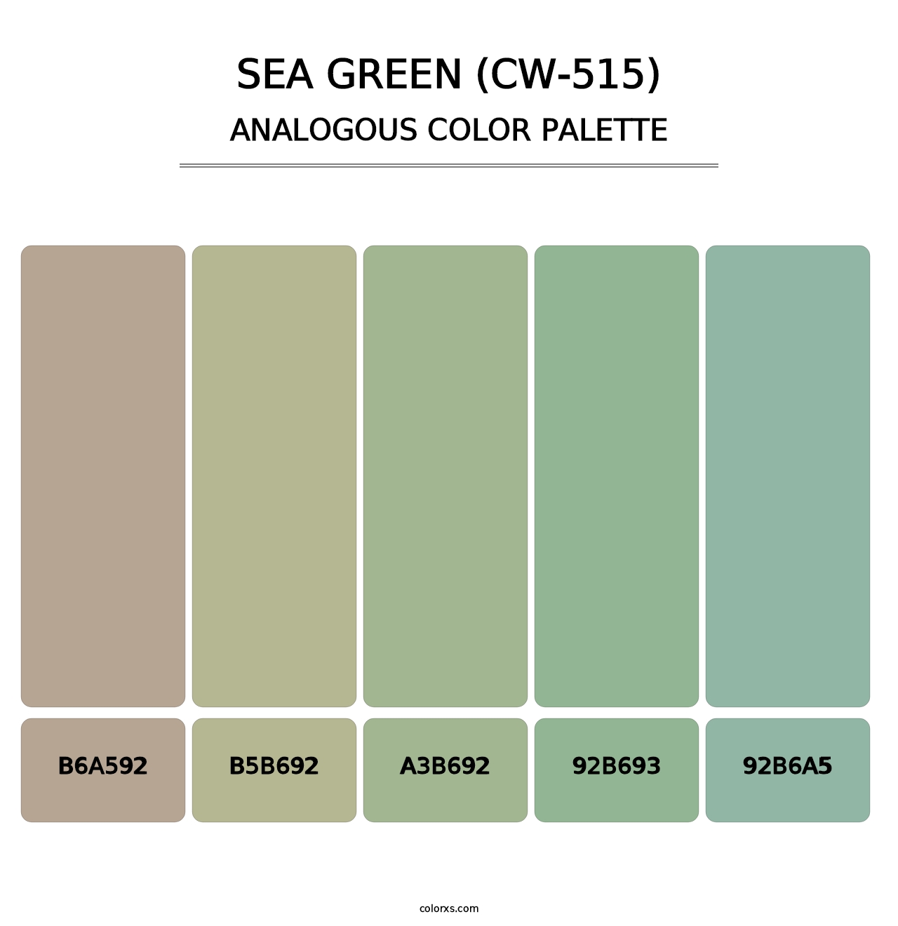 Sea Green (CW-515) - Analogous Color Palette