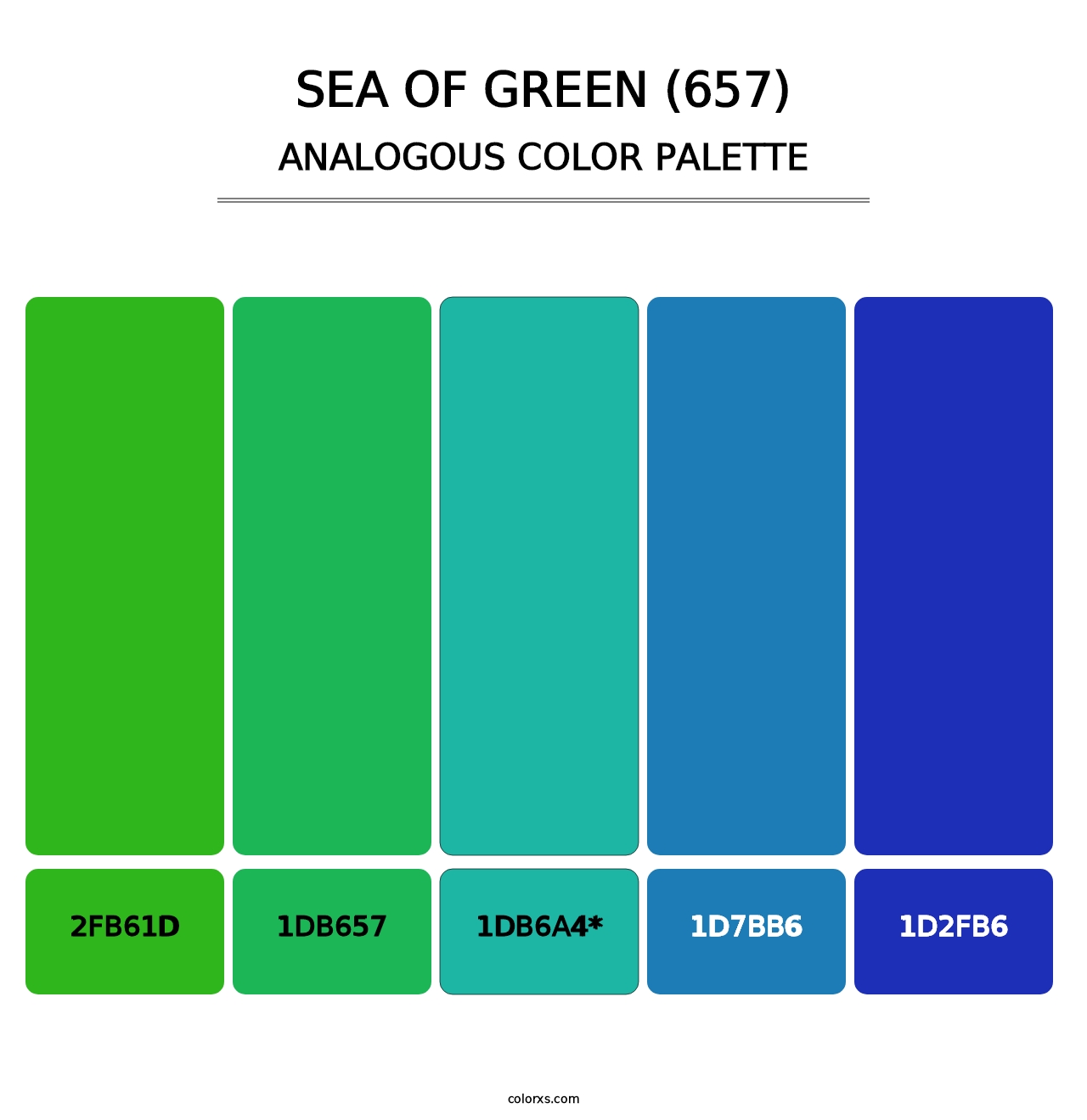 Sea of Green (657) - Analogous Color Palette