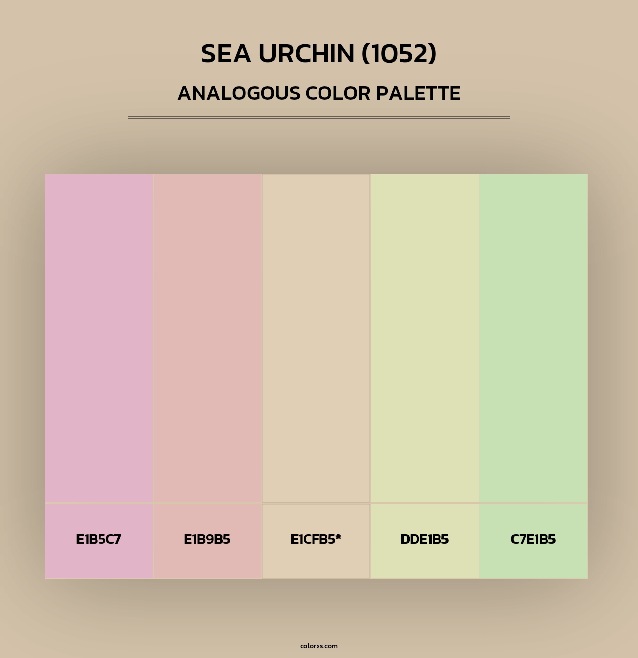 Sea Urchin (1052) - Analogous Color Palette