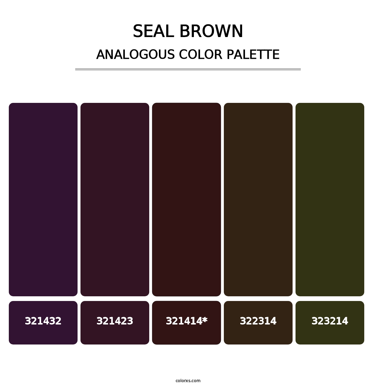 Seal brown - Analogous Color Palette