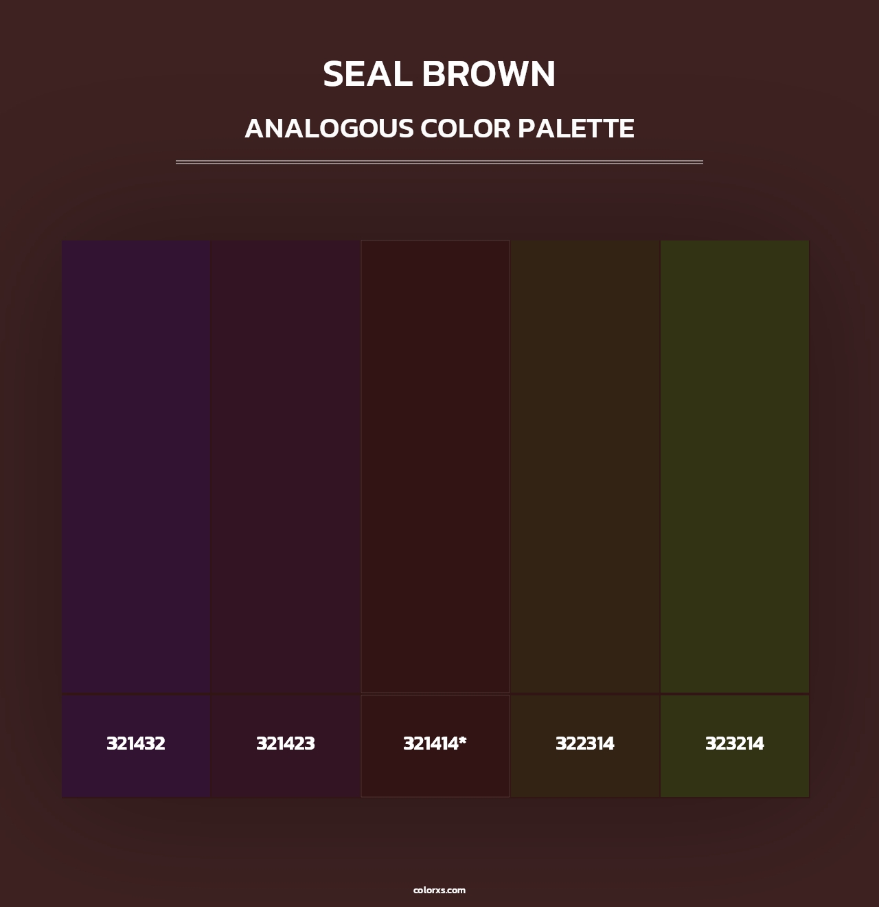 Seal brown - Analogous Color Palette