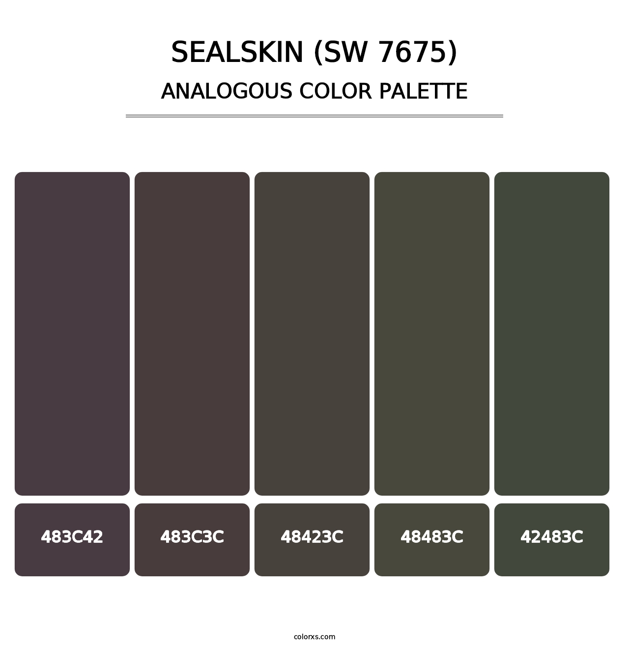 Sealskin (SW 7675) - Analogous Color Palette