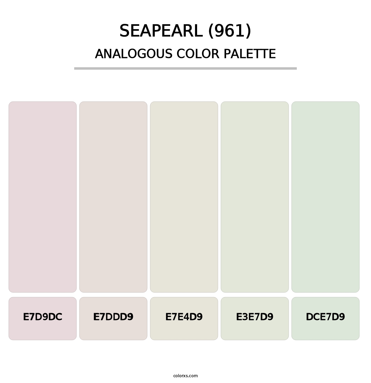 Seapearl (961) - Analogous Color Palette