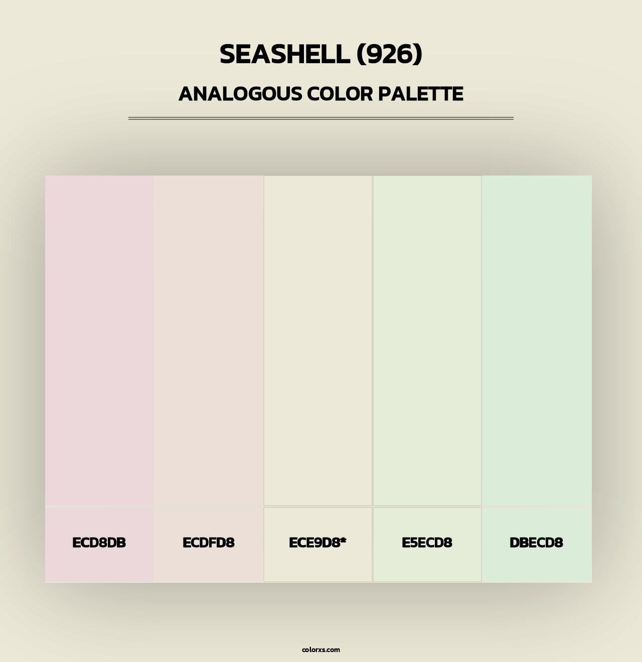 Seashell (926) - Analogous Color Palette