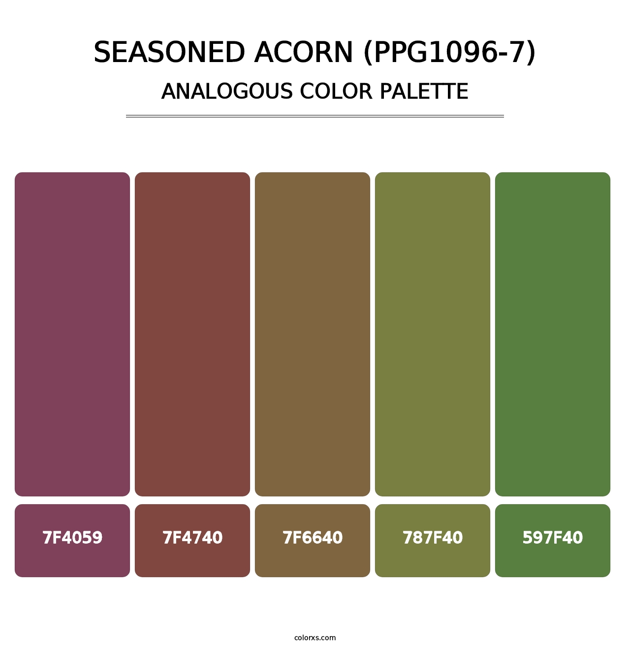 Seasoned Acorn (PPG1096-7) - Analogous Color Palette