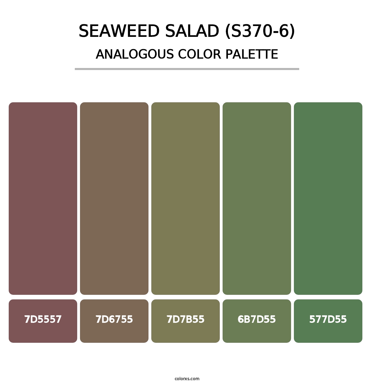Seaweed Salad (S370-6) - Analogous Color Palette