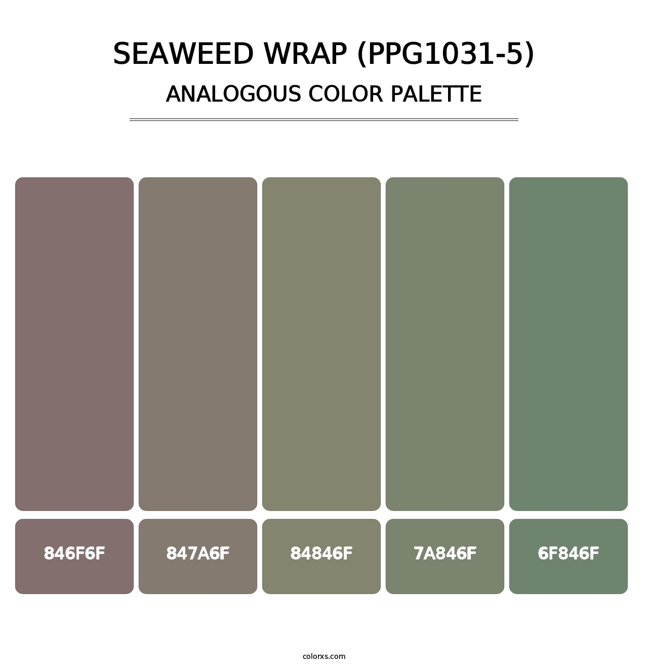 Seaweed Wrap (PPG1031-5) - Analogous Color Palette