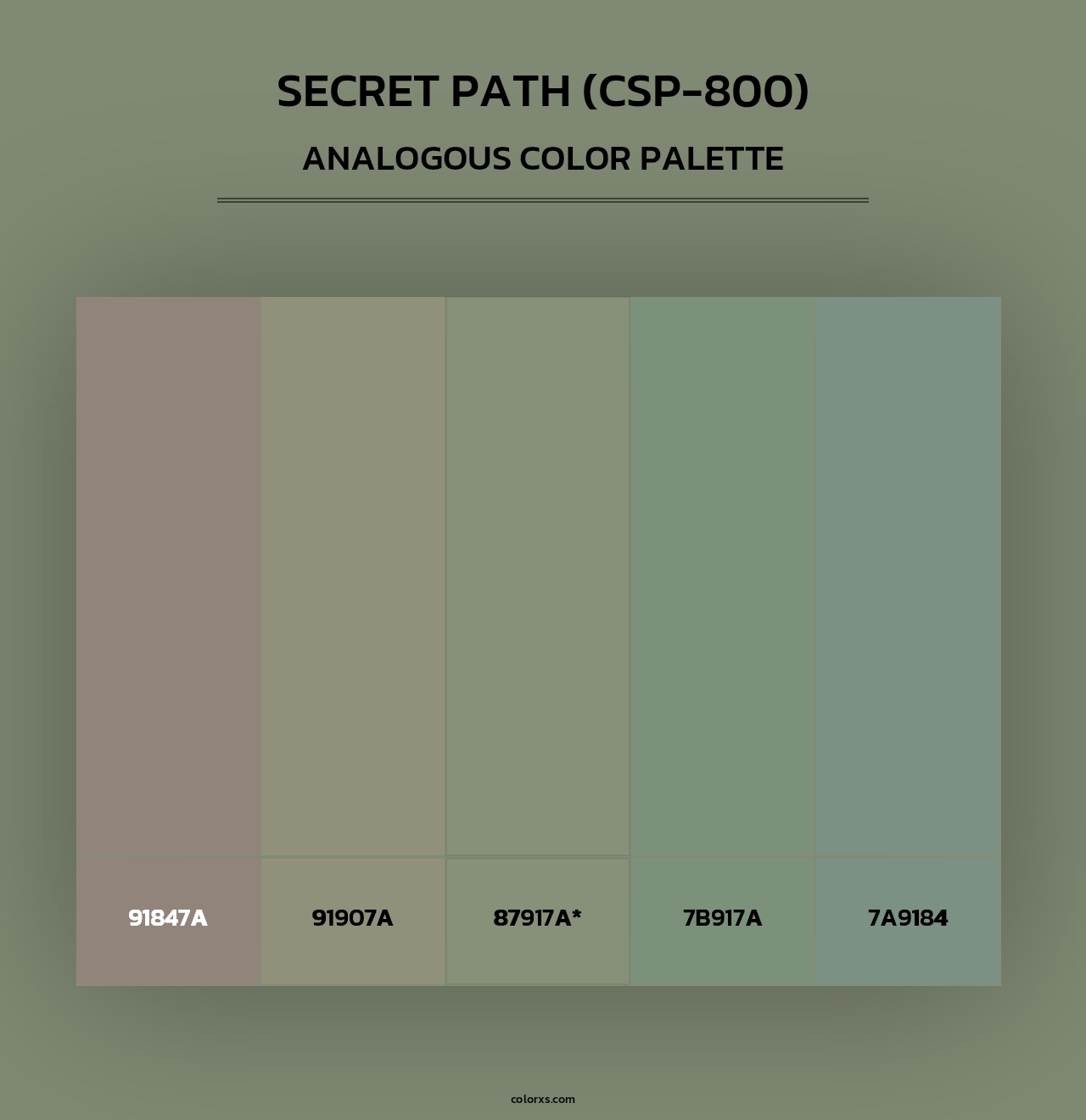 Secret Path (CSP-800) - Analogous Color Palette
