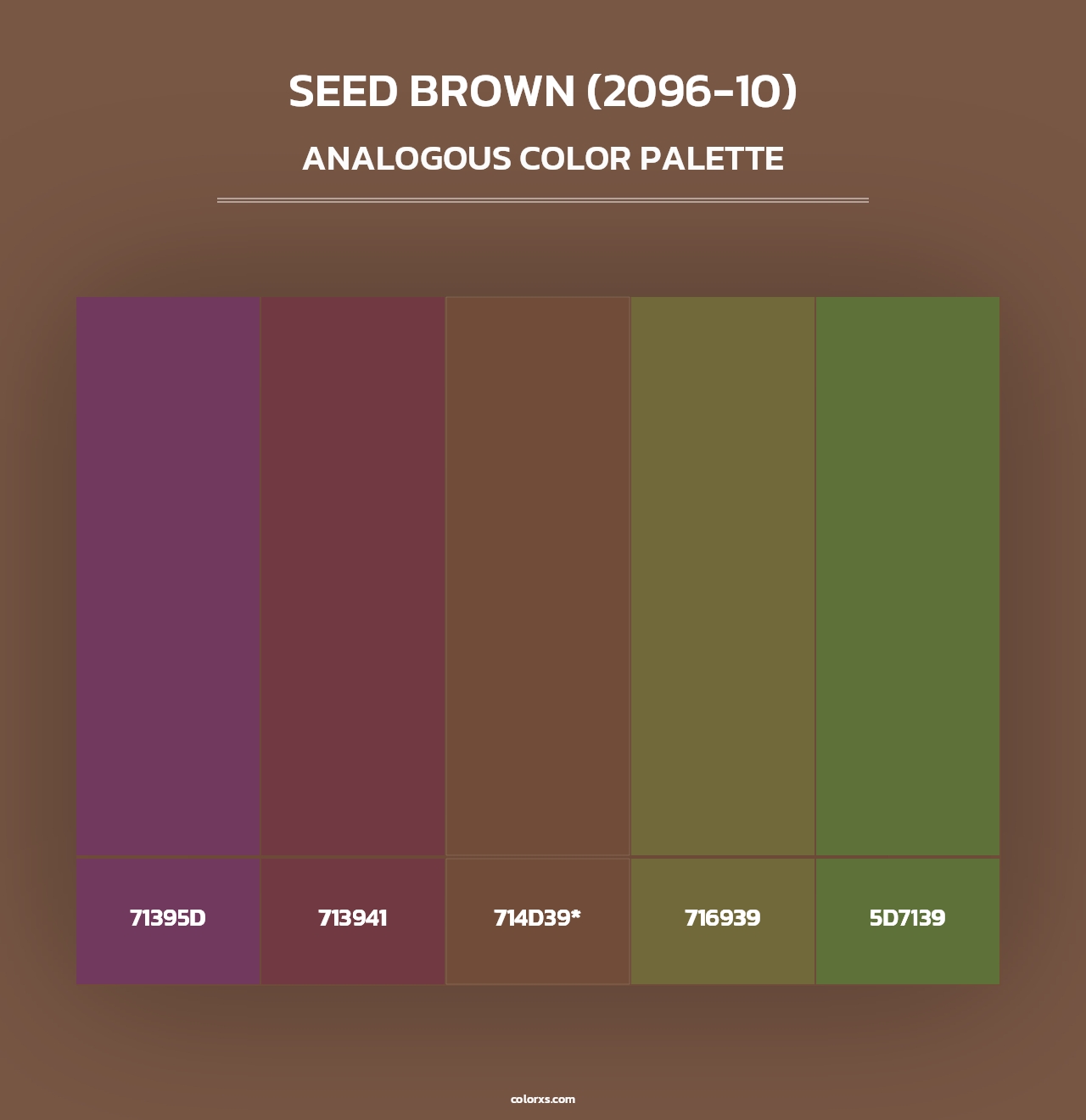 Seed Brown (2096-10) - Analogous Color Palette