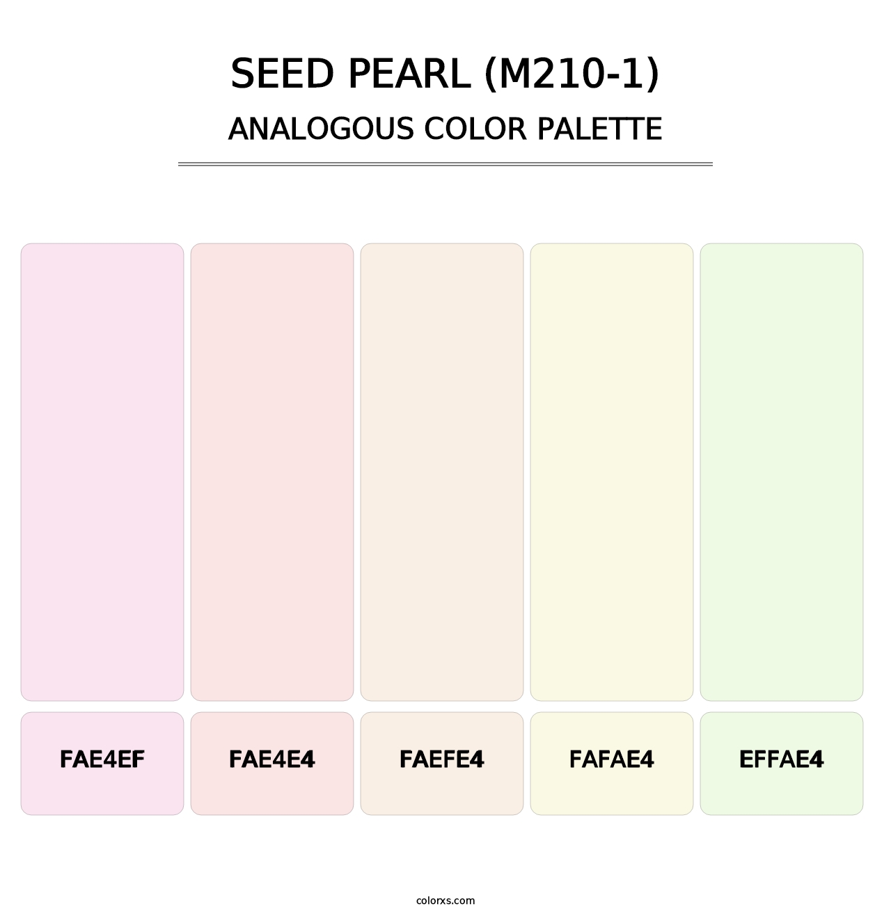 Seed Pearl (M210-1) - Analogous Color Palette