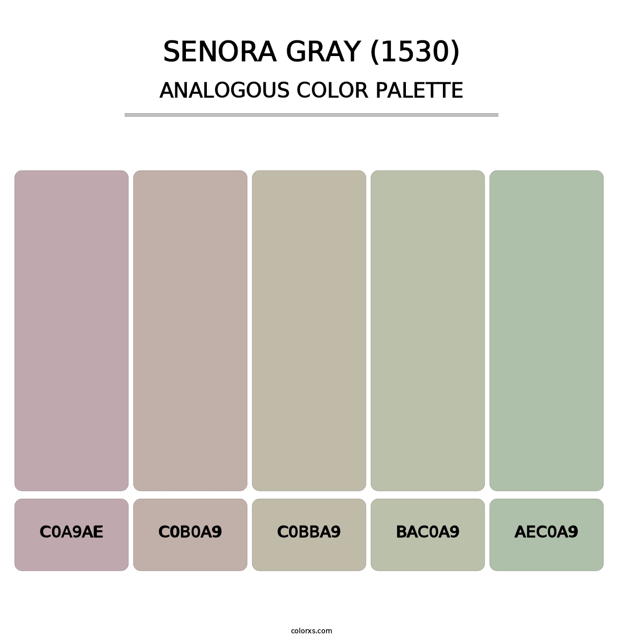 Senora Gray (1530) - Analogous Color Palette