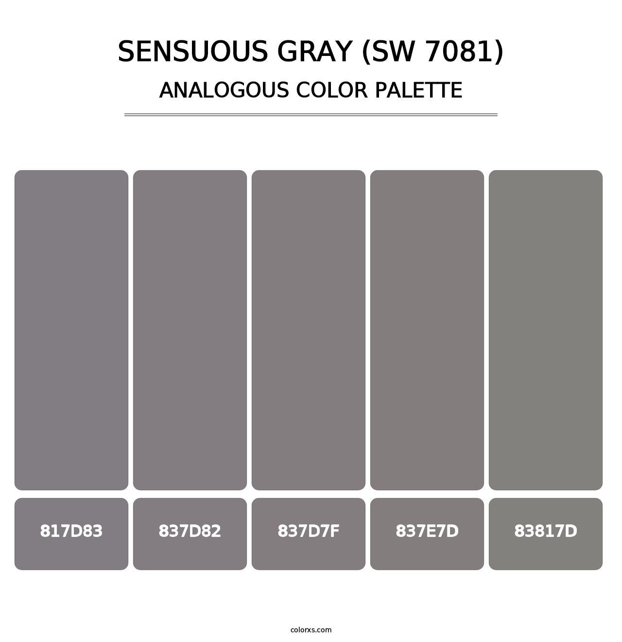 Sensuous Gray (SW 7081) - Analogous Color Palette