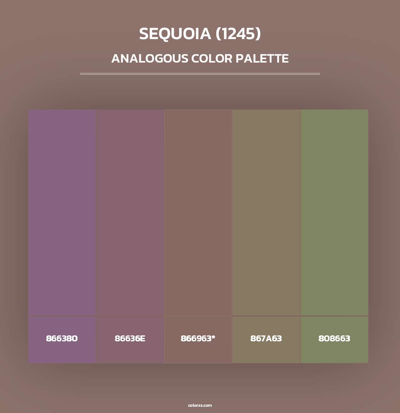 Sequoia (1245) - Analogous Color Palette