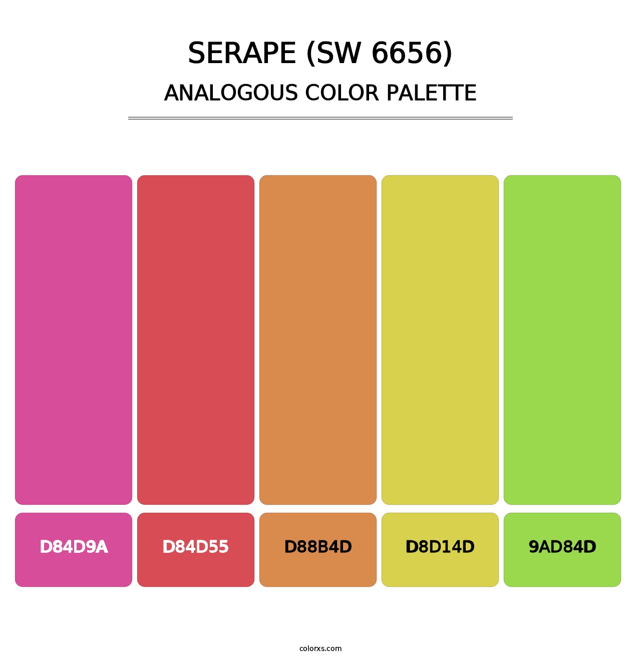 Serape (SW 6656) - Analogous Color Palette