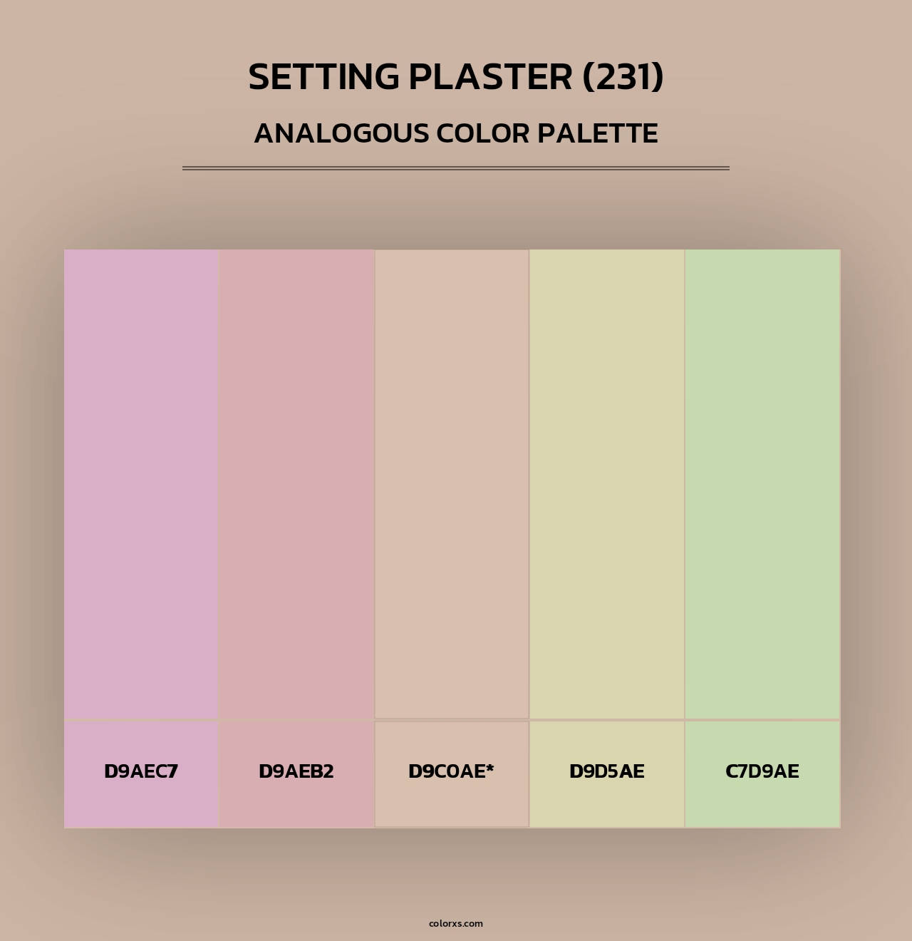 Setting Plaster (231) - Analogous Color Palette
