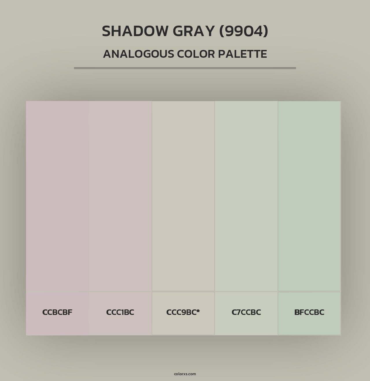 Shadow Gray (9904) - Analogous Color Palette