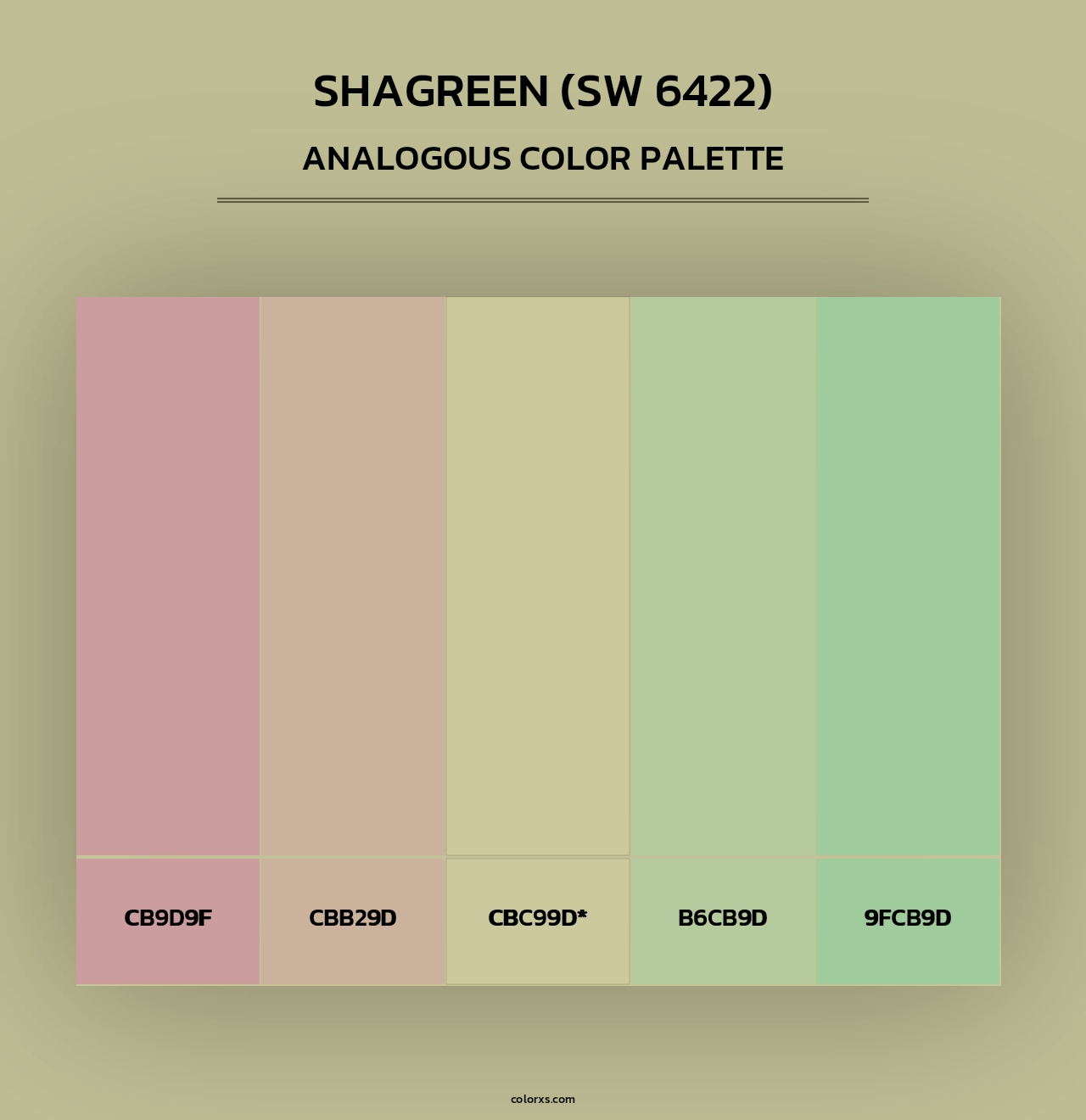 Shagreen (SW 6422) - Analogous Color Palette