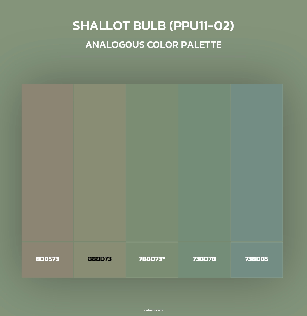 Shallot Bulb (PPU11-02) - Analogous Color Palette