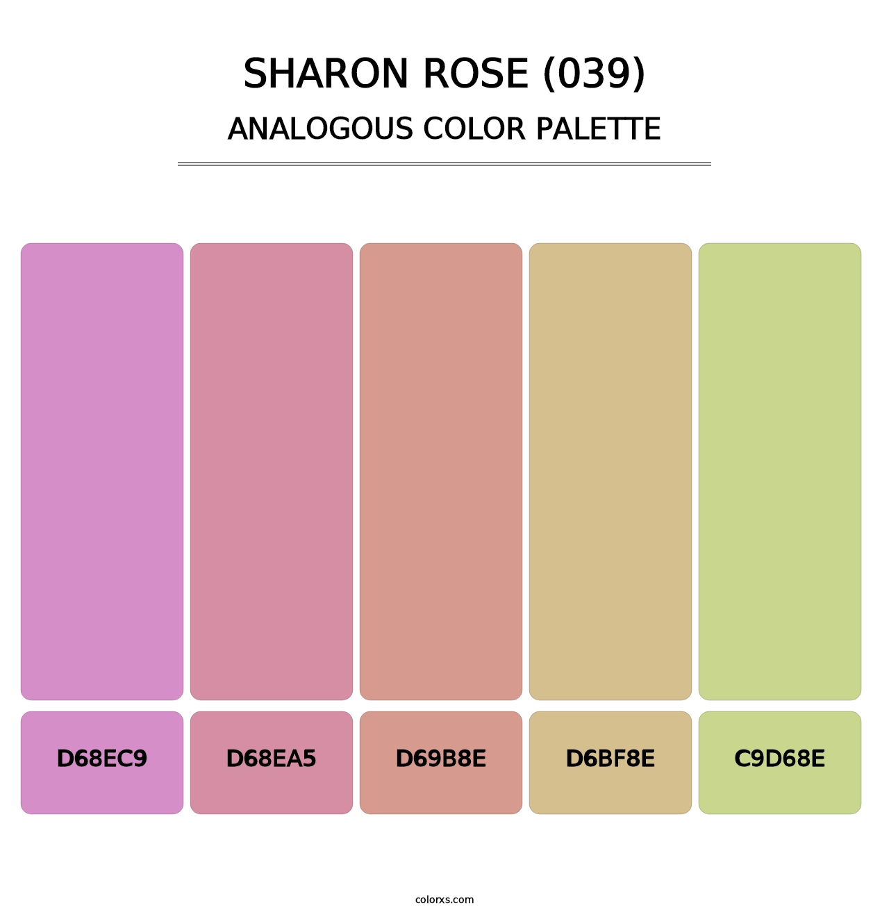 Sharon Rose (039) - Analogous Color Palette