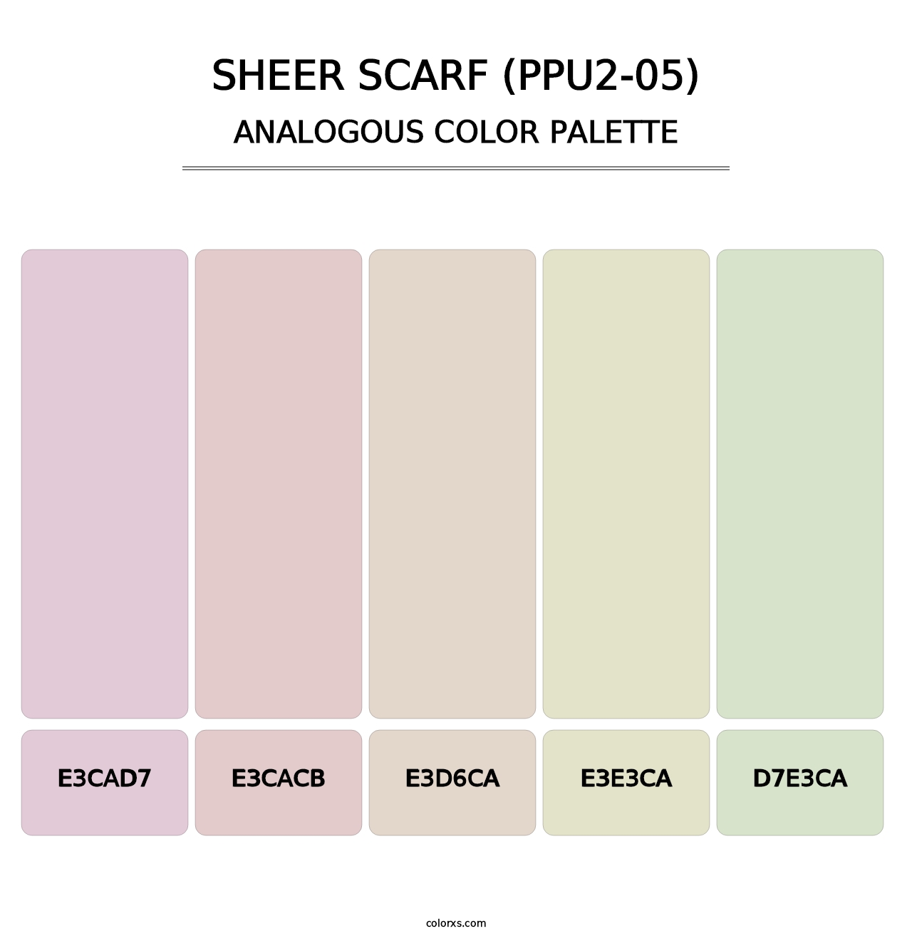 Sheer Scarf (PPU2-05) - Analogous Color Palette