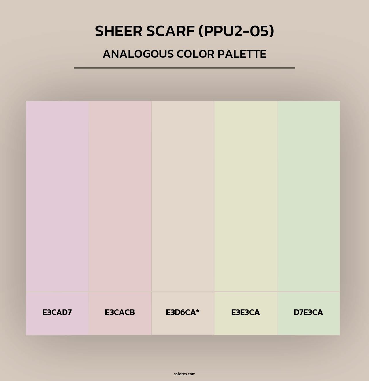 Sheer Scarf (PPU2-05) - Analogous Color Palette